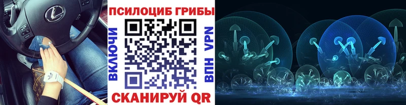 Галлюциногенные грибы прущие грибы Купить закладки Конаково